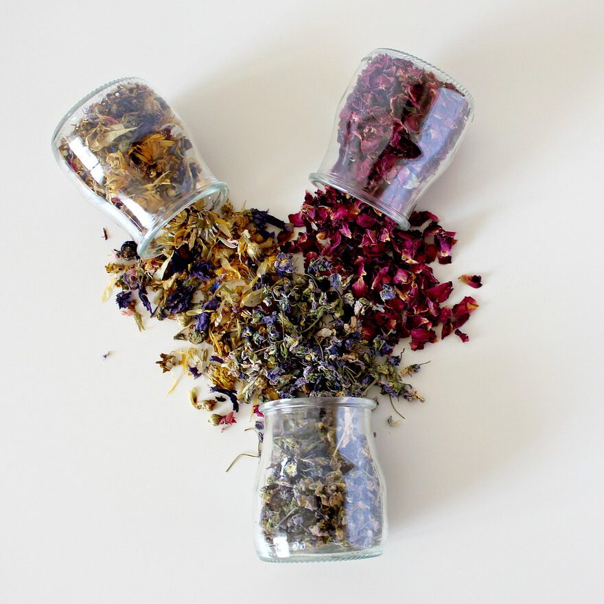 Phytotherapie